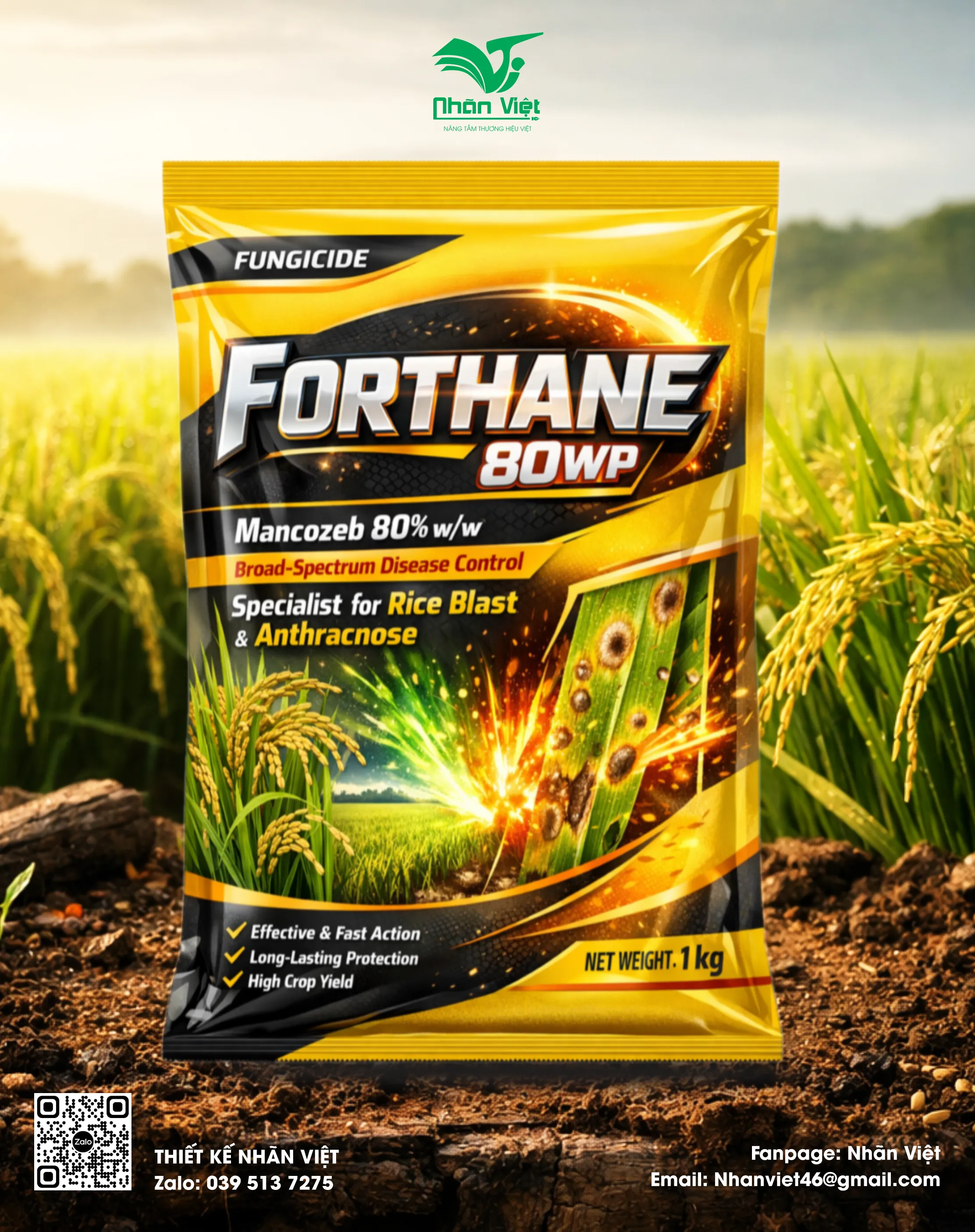 Nhãn mác & Bao bì